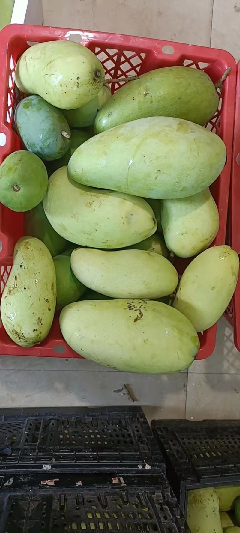 二级果