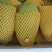 二级果