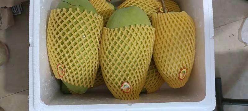 二级果