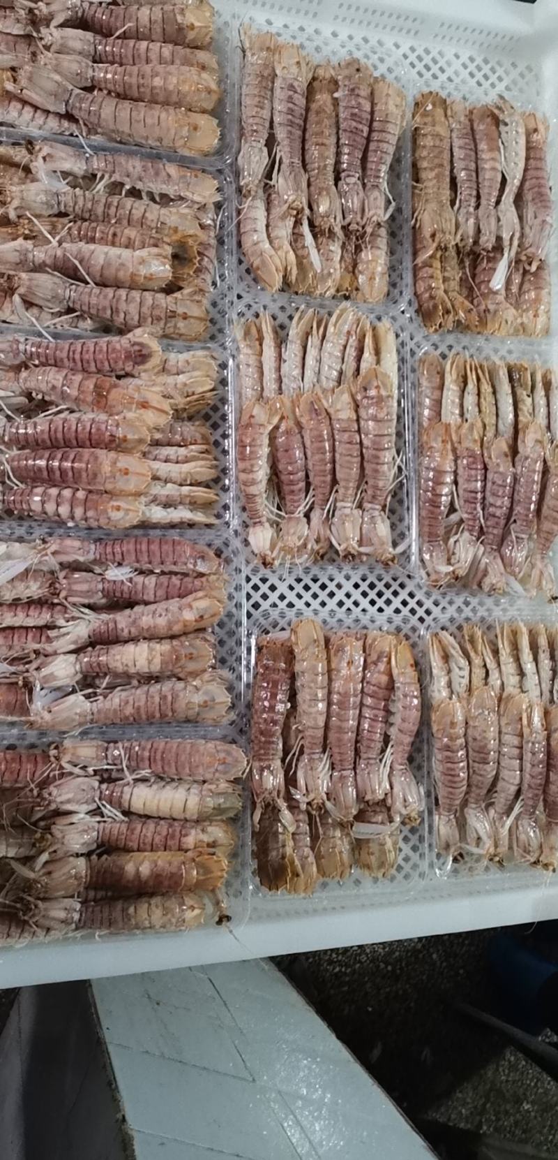 爬爬虾濑尿虾皮皮虾(9-12只)活煮熟冻，工厂直销