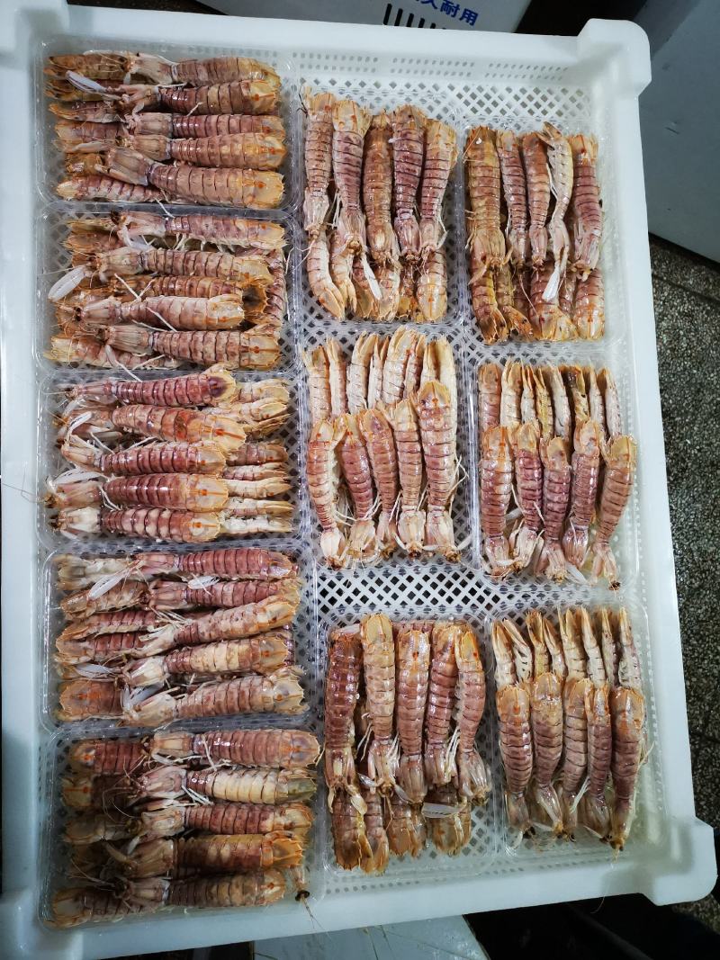 爬爬虾濑尿虾皮皮虾(9-12只)活煮熟冻，工厂直销