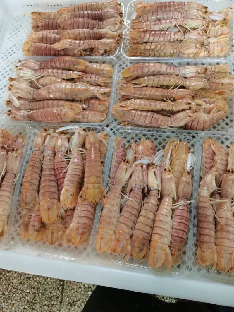 爬爬虾濑尿虾皮皮虾(9-12只)活煮熟冻，工厂直销