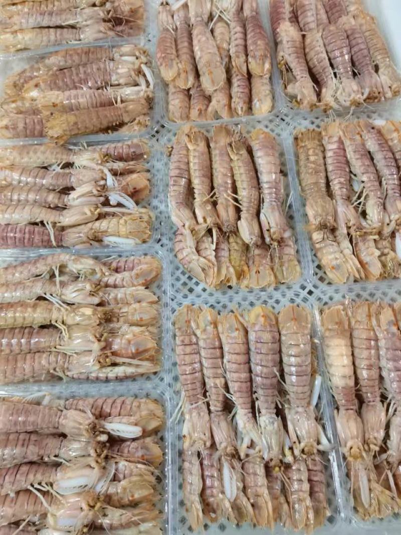 爬爬虾濑尿虾皮皮虾(9-12只)活煮熟冻，工厂直销