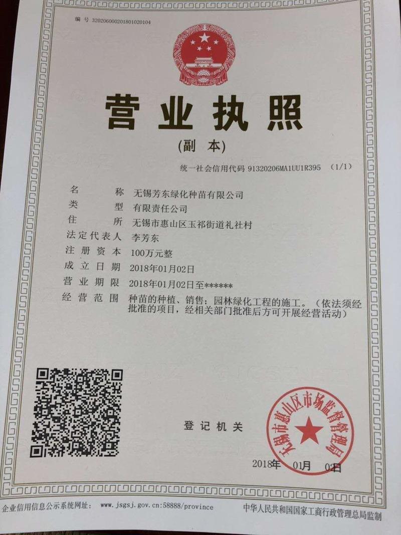 四川红橘种子湖南红橘种子