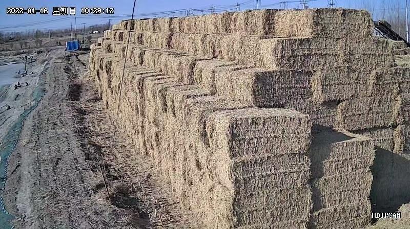 稻草小捆长草长50厘米左右，每捆重60斤