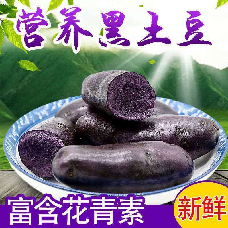 【土豆】黑土豆新鲜蔬菜黑金刚农家马铃薯黑洋芋黑美人包邮