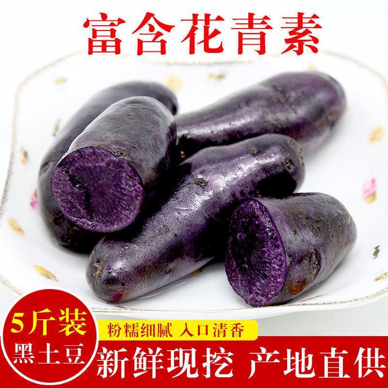 【土豆】黑土豆新鲜蔬菜黑金刚农家马铃薯黑洋芋黑美人包邮