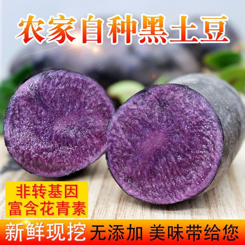 【土豆】黑土豆新鲜蔬菜黑金刚农家马铃薯黑洋芋黑美人包邮