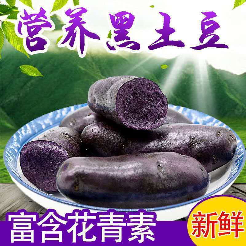 【土豆】黑土豆新鲜蔬菜黑金刚农家马铃薯黑洋芋黑美人包邮