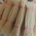 河北红薯粉条产地批发大量供货，保质保量量大从优欢迎客商