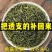 杜仲雄花茶湖南野生花粉多杜仲雄花花茶茶养