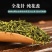 杜仲雄花茶湖南野生花粉多杜仲雄花花茶茶养