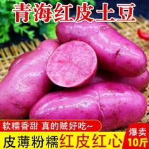 青海特产红皮红心土豆红玫瑰富含花青素红皮土豆小土豆马铃薯