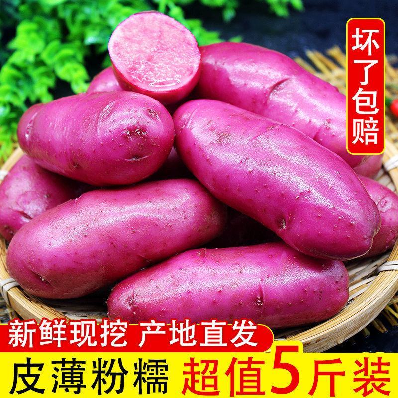 青海特产红皮红心土豆红玫瑰富含花青素红皮土豆小土豆马铃薯
