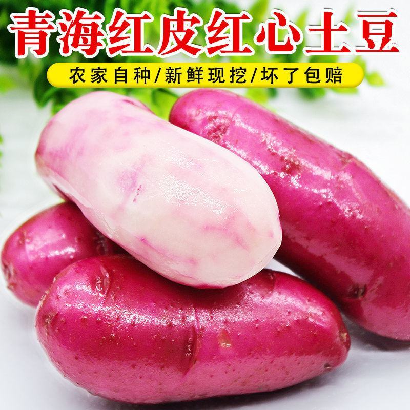 青海特产红皮红心土豆红玫瑰富含花青素红皮土豆小土豆马铃薯