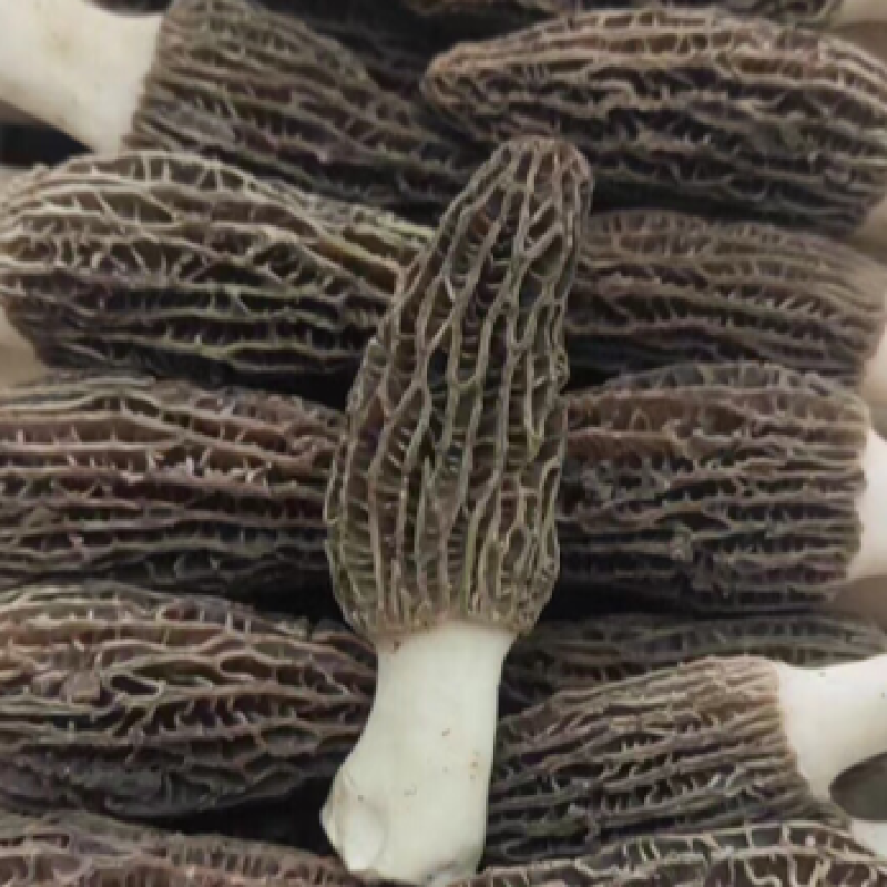 羊肚菌一件代发