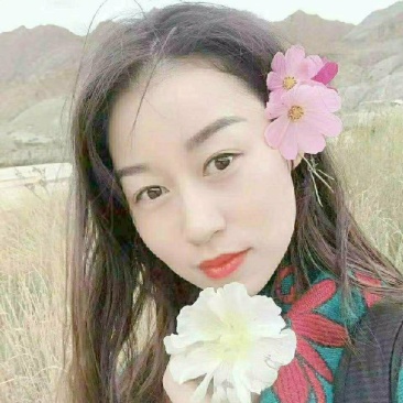 红菜苔产地直销看货论价保质保量欢迎订购