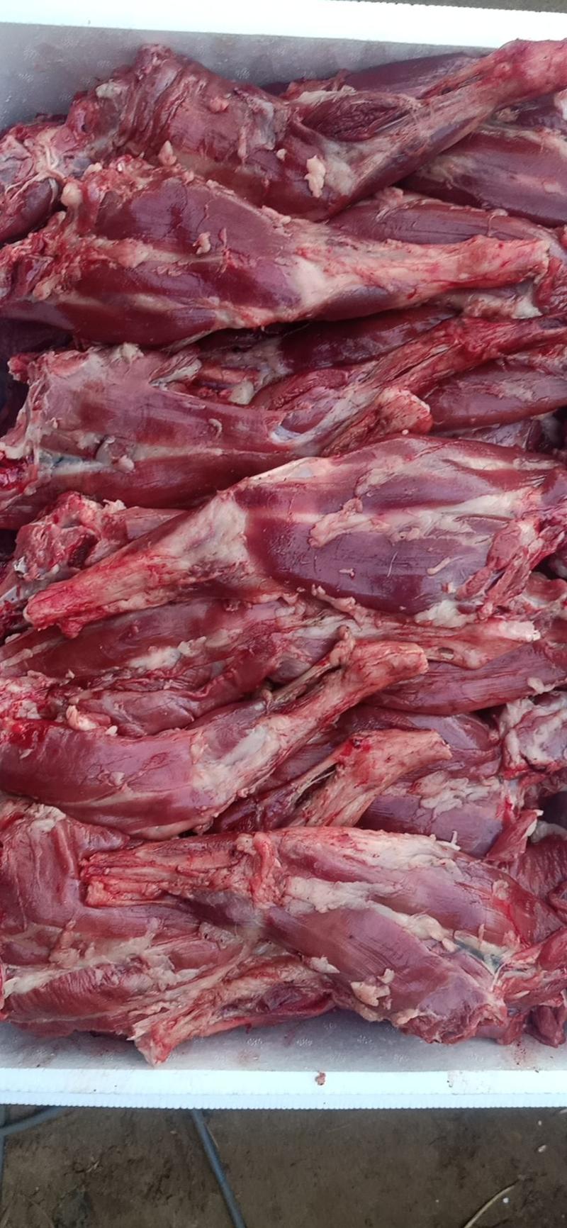 【兔肉】大量供应冷鲜肉，前后腿肉，品质保证，量大从优。