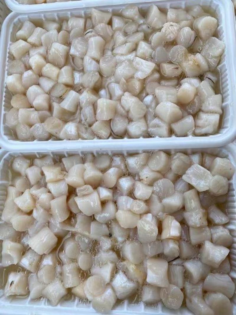 冰鲜贝丁