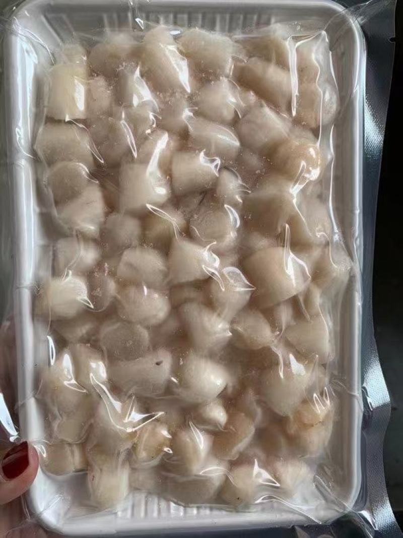 冰鲜贝丁