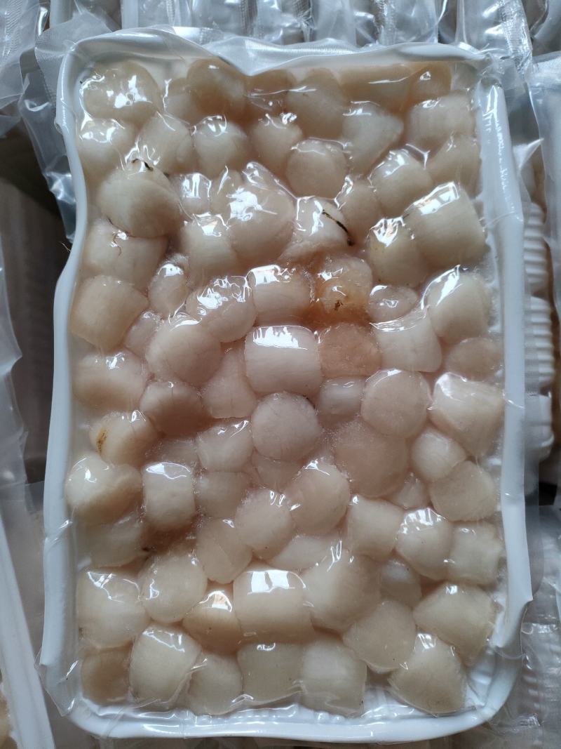 冰鲜贝丁