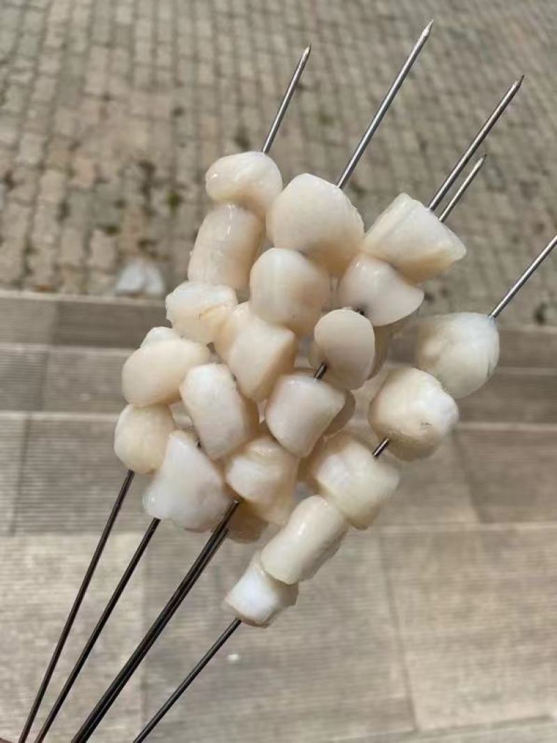 冰鲜贝丁