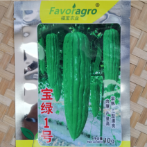 宝绿油绿苦瓜进口种子优质苦瓜水果苦瓜油瓜种子芽率超国标