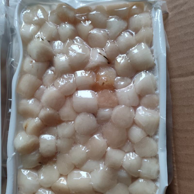冰鲜贝丁