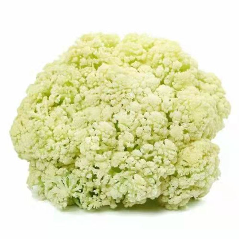 松花菜产地直销看货论价。支持发货24小时在线服务