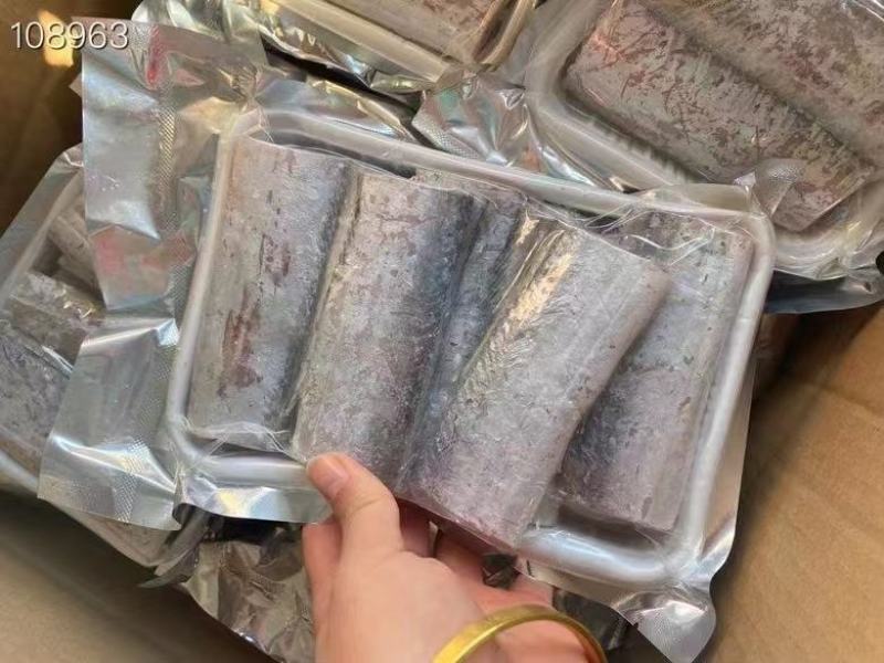 小眼刀鱼中段