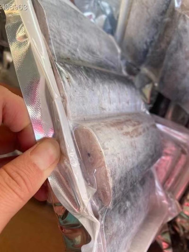 小眼刀鱼中段