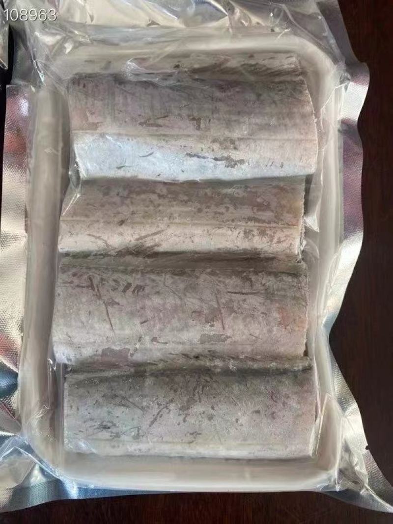 小眼刀鱼中段