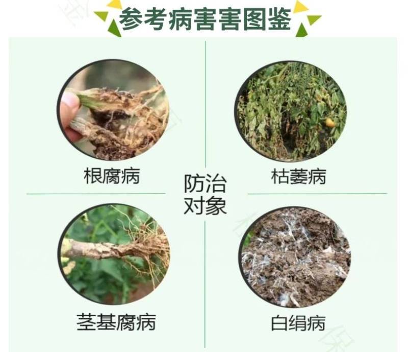 30%精甲恶霉灵噁霉灵根腐病专用药枯萎病死苗烂根土壤消毒