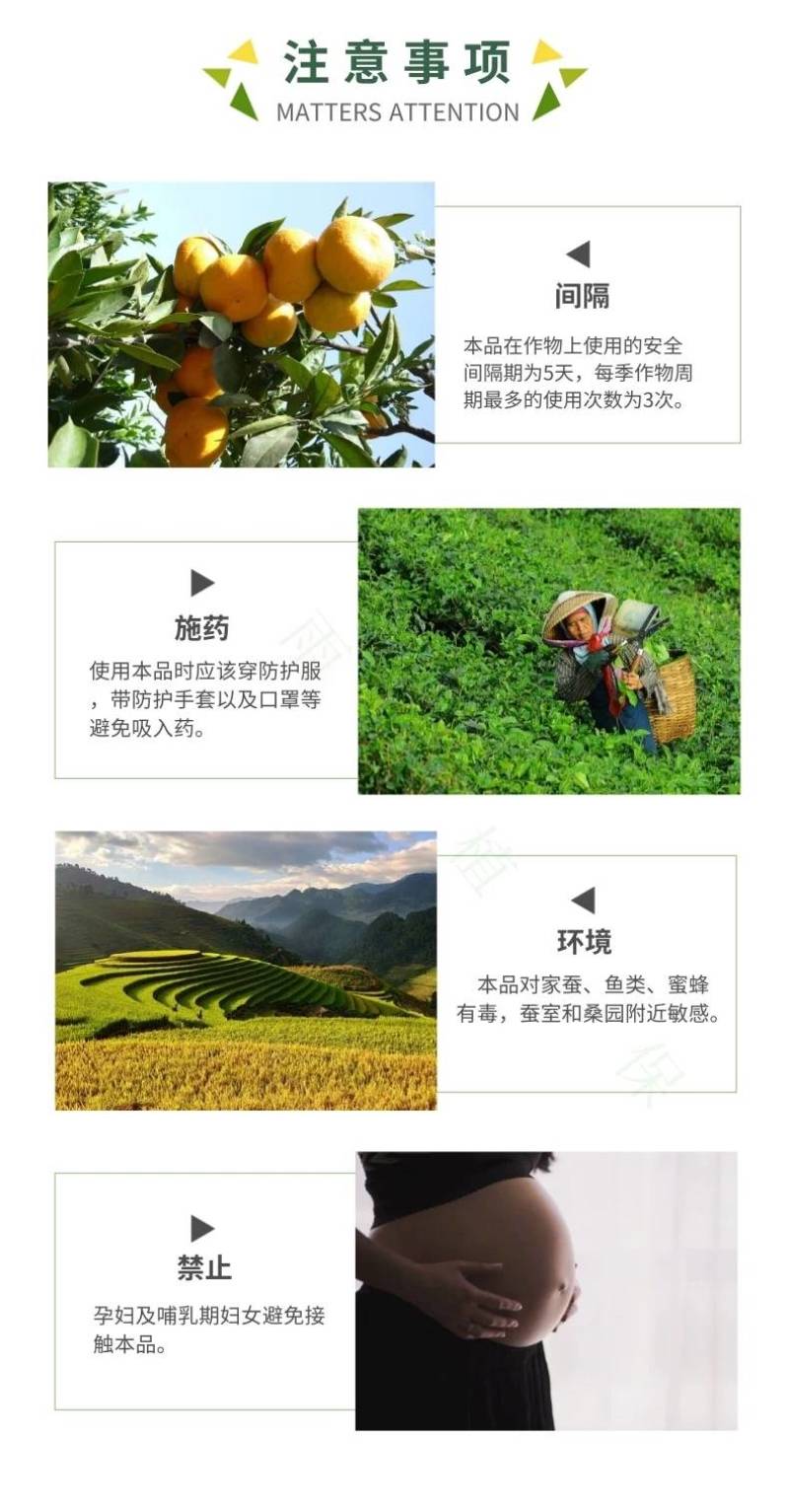 30%精甲恶霉灵噁霉灵根腐病专用药枯萎病死苗烂根土壤消毒