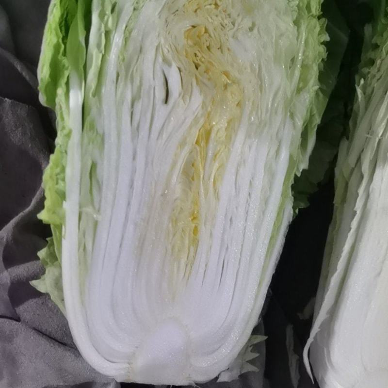 北京青杂三号白菜直供批发市场，电商多多买菜美团