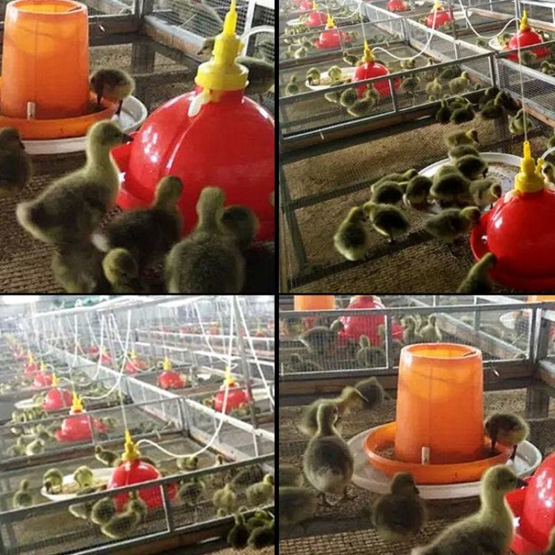 包邮鸡用自动饮水器鸭鹅喂水器小鸡加水壶养鸡养殖设备