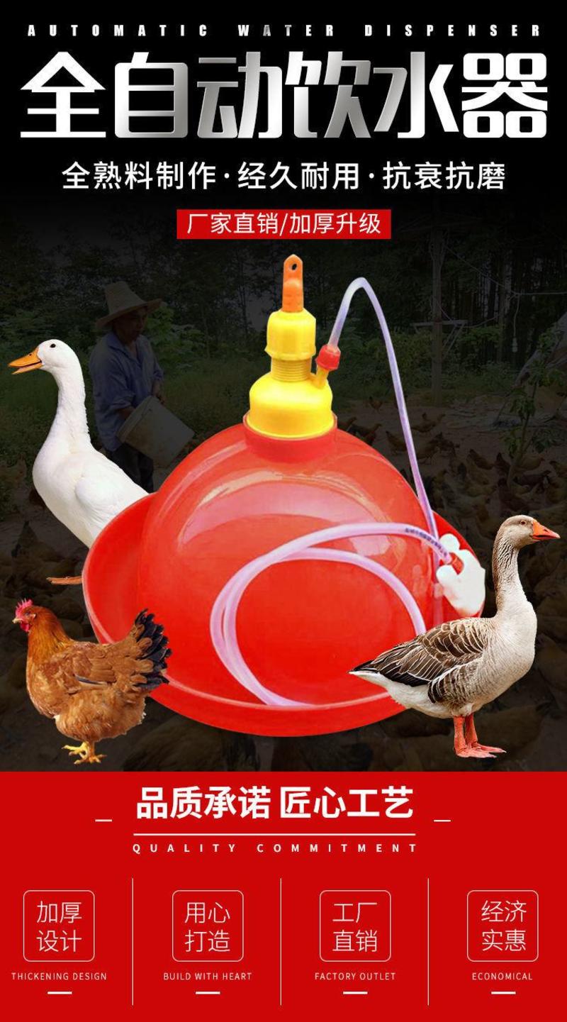 包邮鸡用自动饮水器鸭鹅喂水器小鸡加水壶养鸡养殖设备