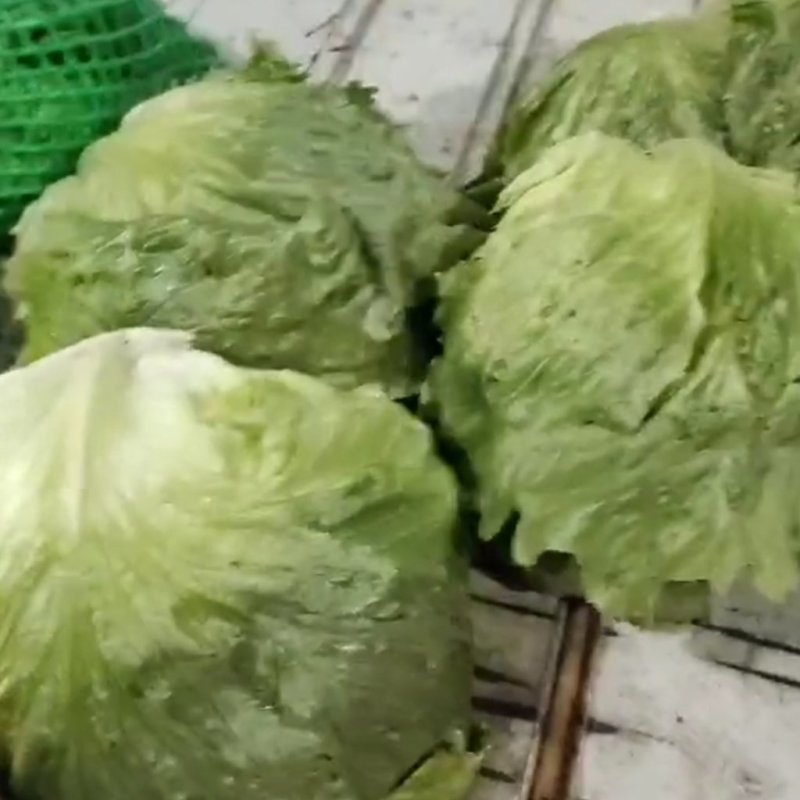 【优质】生菜精品球生菜【商超品质】一手货源
