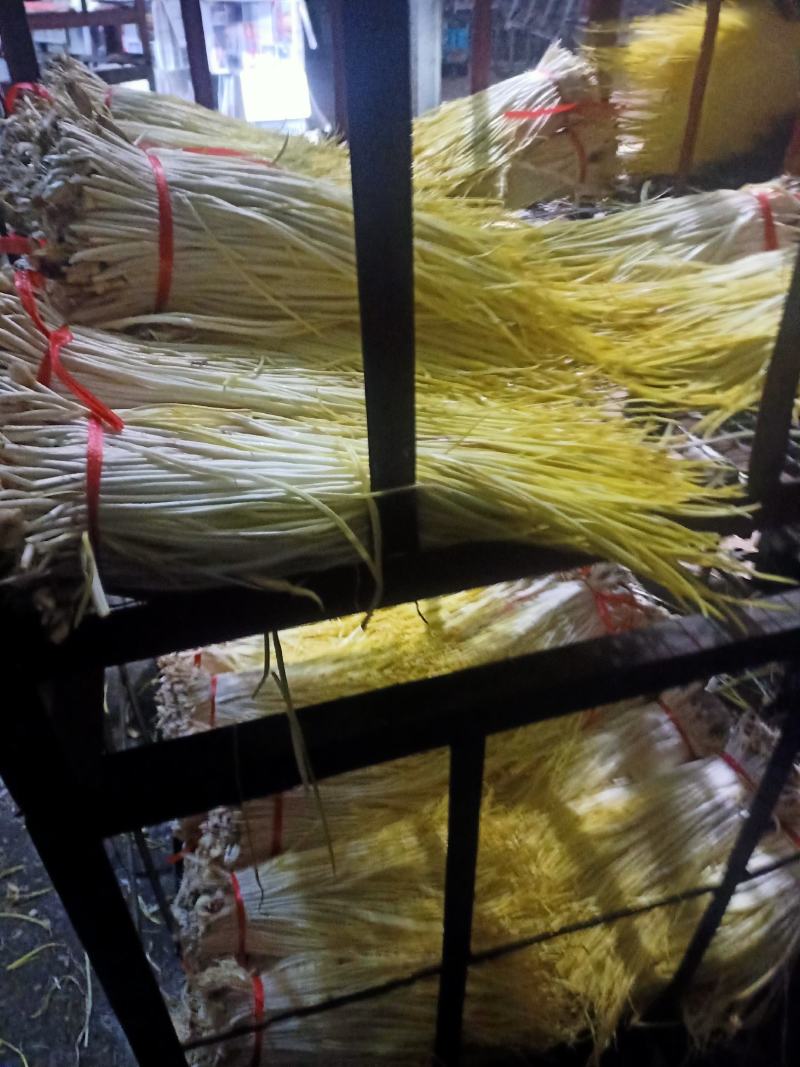 山东新鲜蒜黄，产地直供现割现卖，头茬50到60厘米可代发