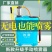 农用背负式手动喷雾器手压式高压打药机植保园林消毒防疫