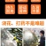 农用背负式手动喷雾器手压式高压打药机植保园林消毒防疫