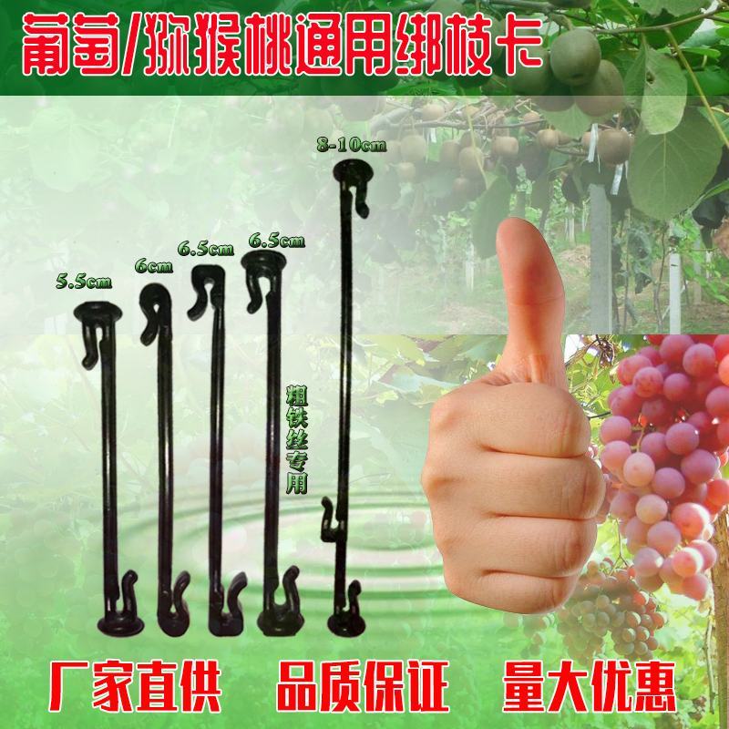 葡萄绑枝卡果树绑蔓卡绿植塑料绑枝器绑枝丝猕猴桃枝蔓固定卡