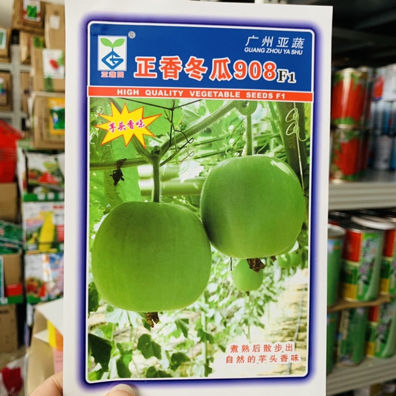 新研发小型冬瓜新品种芋头香味冬瓜种子一串铃冬瓜耐热