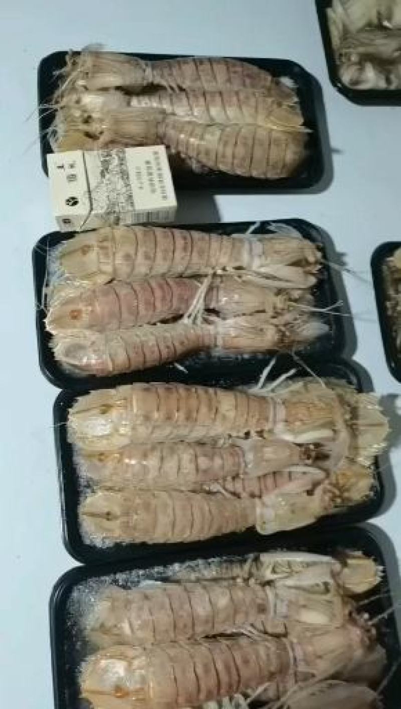活煮皮皮虾