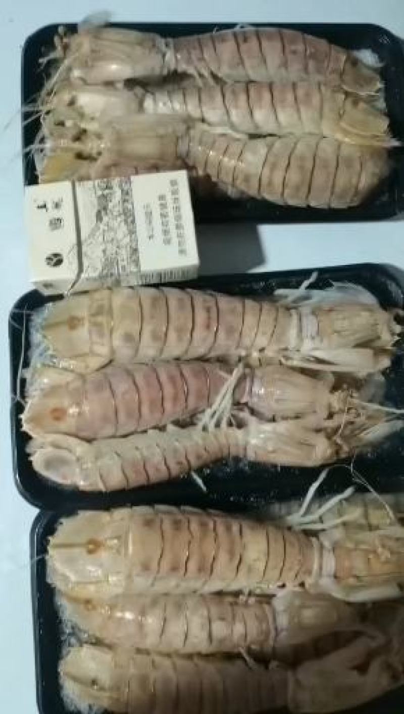 活煮皮皮虾