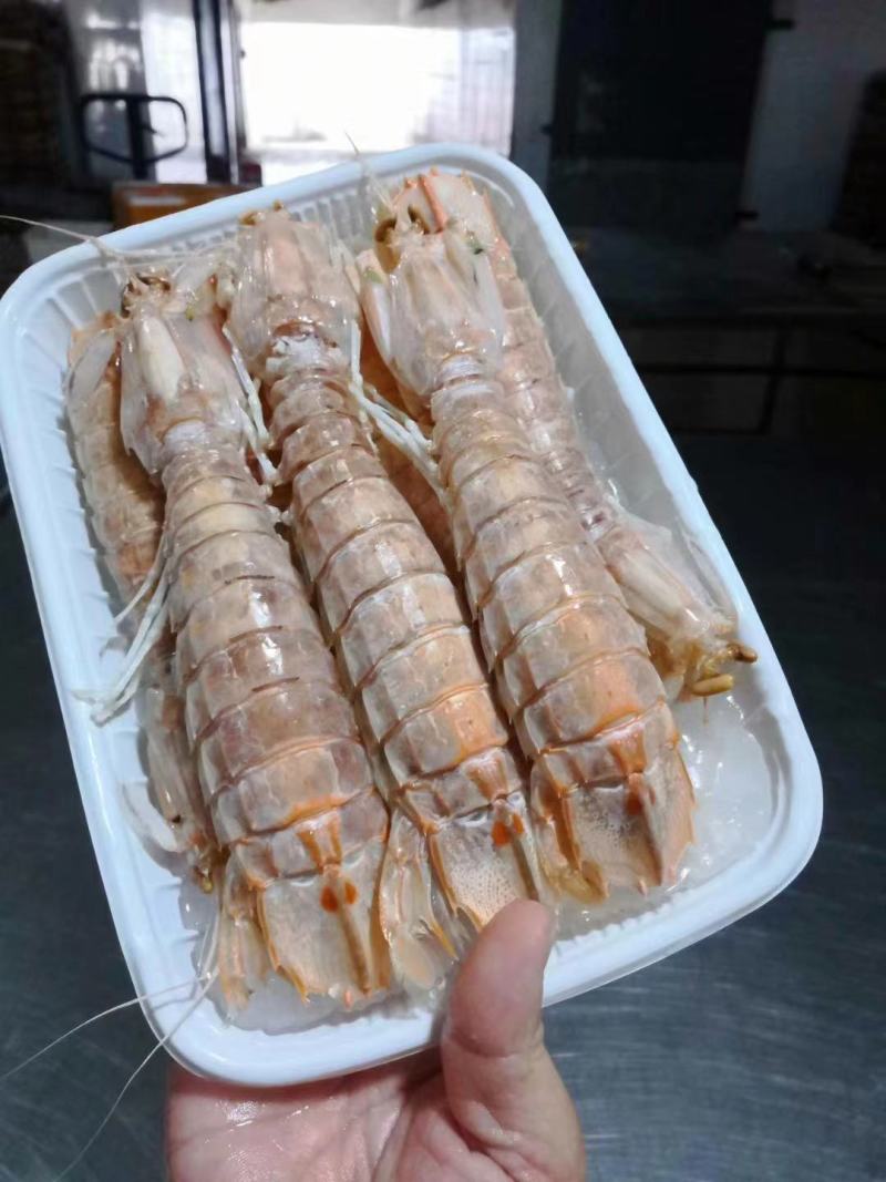 活煮皮皮虾