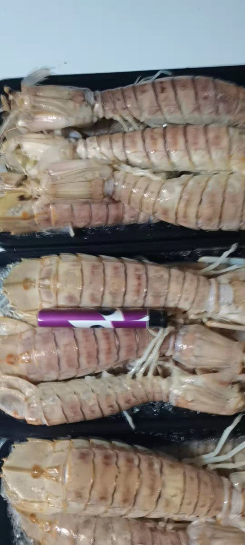 活煮皮皮虾