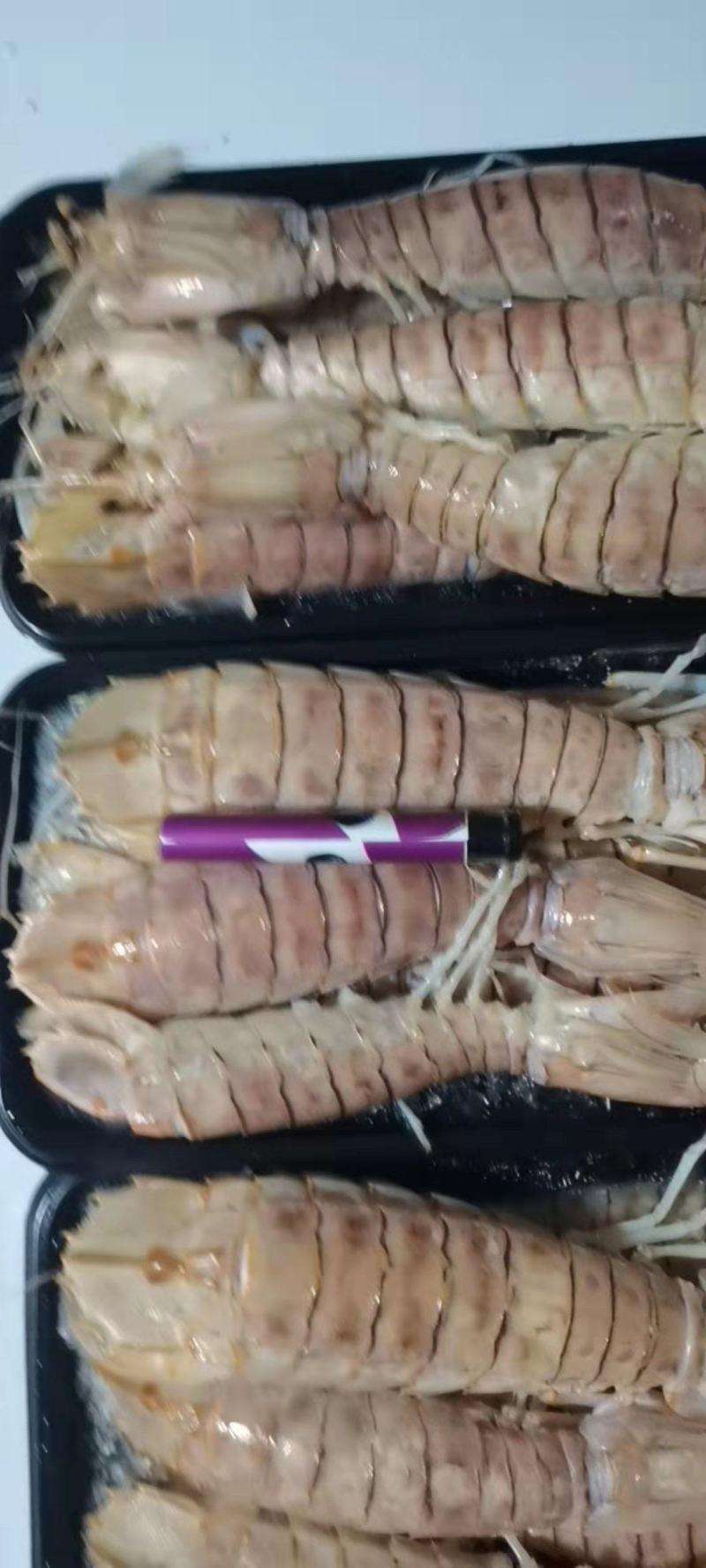 活煮皮皮虾