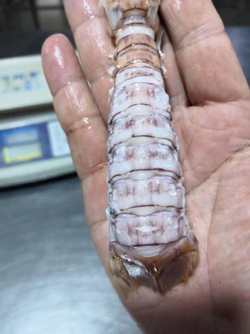 活煮皮皮虾