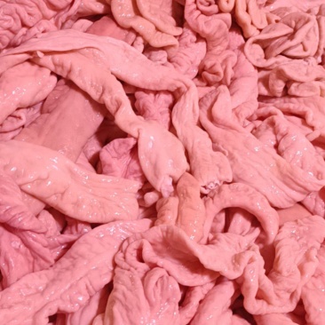 一级预煮精品大肠
